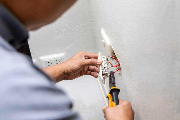 Best Electric Panel Repair  in Channahon, IL